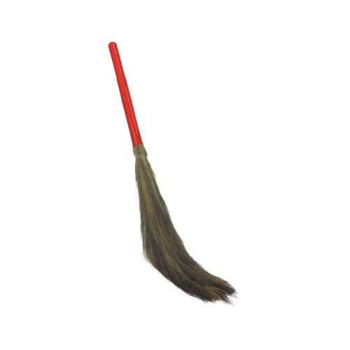 Neptune Grass Broom